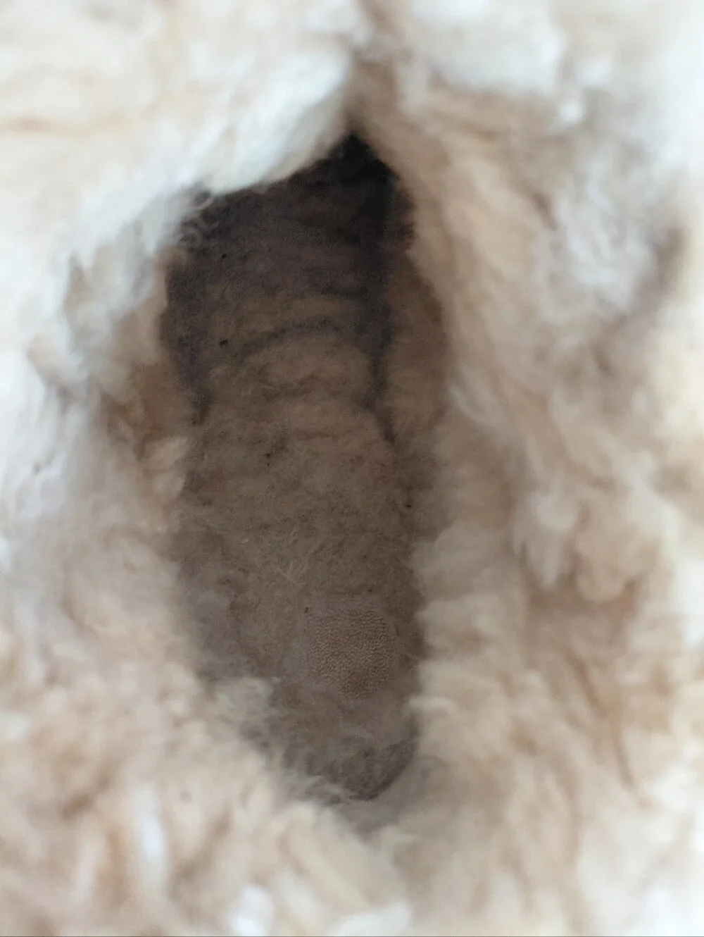 Ugg Classic Short Boot Size 8